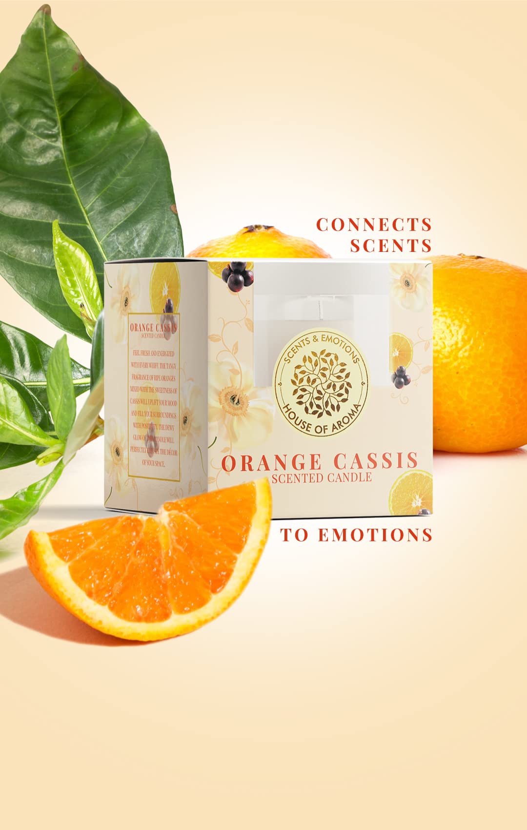 House of Aroma Orange Cassis Scented Glass Candle Made of Beeswax, Paraffin Wax & Aromatic Oils, Burns Up to 10-12 Hours| Fragra